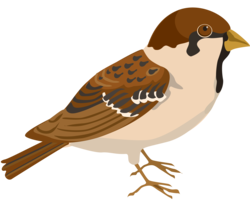animals & sparrow free transparent png image.