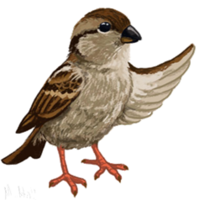 animals & sparrow free transparent png image.