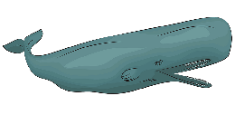 animals & sperm whale free transparent png image.