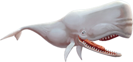 animals & sperm whale free transparent png image.