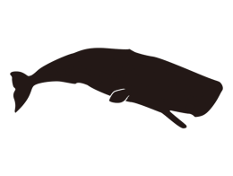 animals & sperm whale free transparent png image.