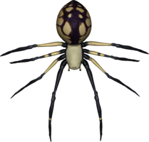 insects & spider free transparent png image.