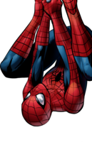 heroes & Spider Man free transparent png image.