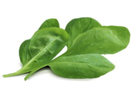 vegetables & spinach free transparent png image.