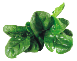 vegetables & spinach free transparent png image.