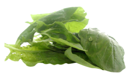 vegetables & spinach free transparent png image.