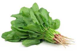 vegetables & spinach free transparent png image.