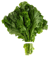 vegetables & Spinach free transparent png image.