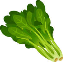 vegetables & Spinach free transparent png image.