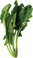 vegetables & spinach free transparent png image.