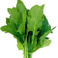 vegetables & Spinach free transparent png image.