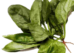 vegetables & spinach free transparent png image.