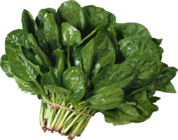 vegetables & spinach free transparent png image.