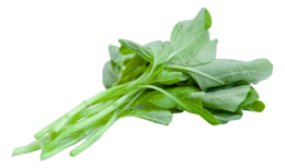 vegetables & Spinach free transparent png image.