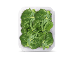 vegetables & spinach free transparent png image.