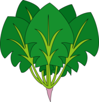 vegetables & spinach free transparent png image.