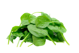 vegetables & Spinach free transparent png image.