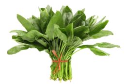 vegetables & spinach free transparent png image.