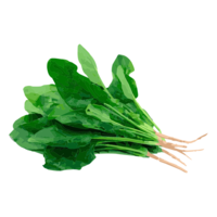 vegetables & spinach free transparent png image.