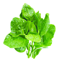 vegetables & spinach free transparent png image.