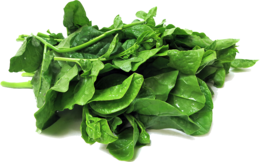 vegetables & Spinach free transparent png image.