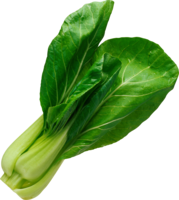 vegetables & Spinach free transparent png image.