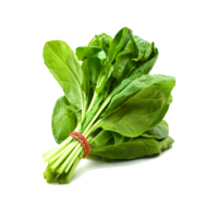 vegetables & spinach free transparent png image.