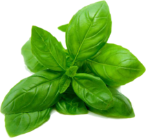 vegetables & spinach free transparent png image.