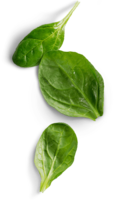 vegetables & Spinach free transparent png image.