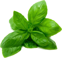 vegetables & spinach free transparent png image.