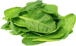 vegetables & spinach free transparent png image.