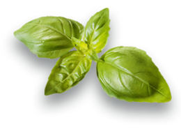 vegetables & Spinach free transparent png image.