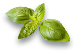 vegetables & spinach free transparent png image.