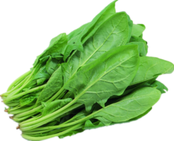 vegetables & spinach free transparent png image.