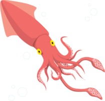 animals & Squid free transparent png image.