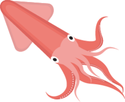 animals & Squid free transparent png image.