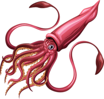 animals & Squid free transparent png image.