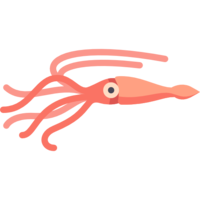 animals & squid free transparent png image.