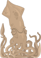 animals & squid free transparent png image.