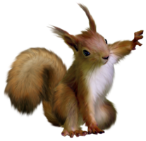 Squirrel&animals png image