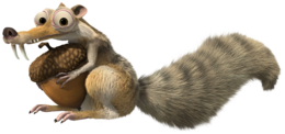 animals & Squirrel free transparent png image.