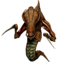 games & Starcraft free transparent png image.