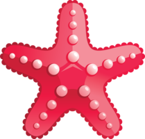 animals & Starfish free transparent png image.