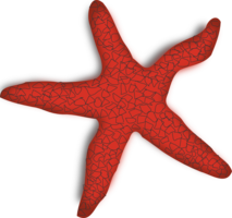 animals & Starfish free transparent png image.