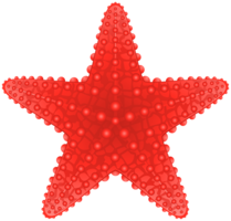 animals & Starfish free transparent png image.