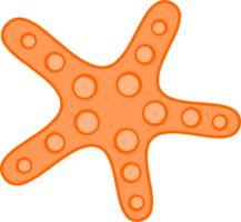 animals & Starfish free transparent png image.