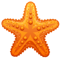 animals & starfish free transparent png image.