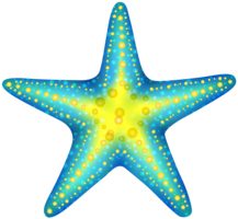 animals & Starfish free transparent png image.