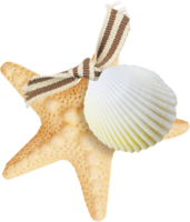 animals & Starfish free transparent png image.