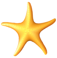 animals & starfish free transparent png image.